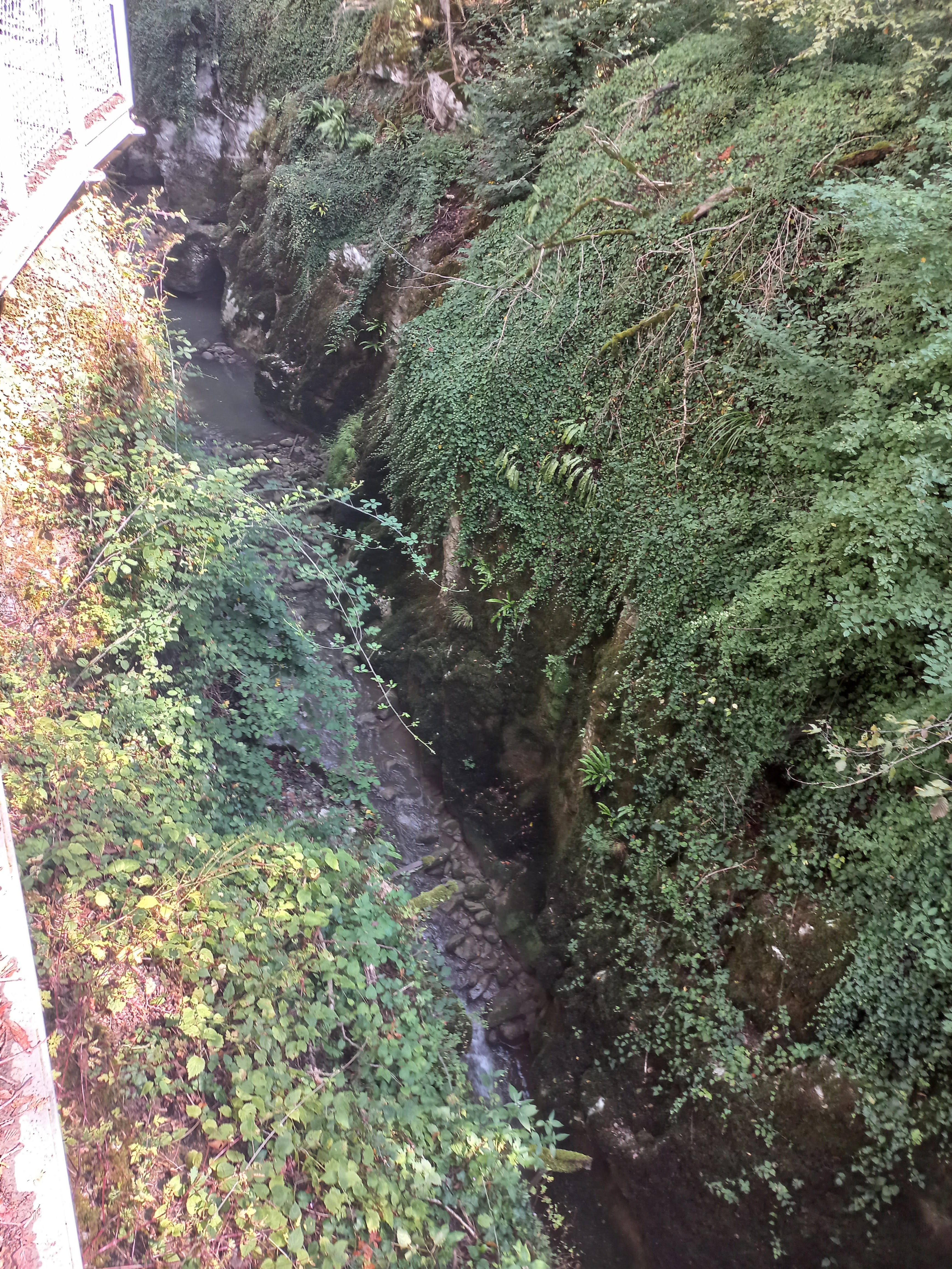 Photo n° 28 de l'avis de mél.2 fait le 31/07/2023 à 19:15