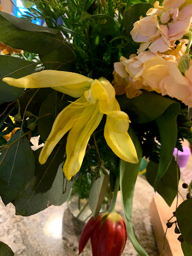 Florist «Gibsonia Flowers», reviews and photos, 935 Gibsonia-Galloway Rd, Lakeland, FL 33809, USA