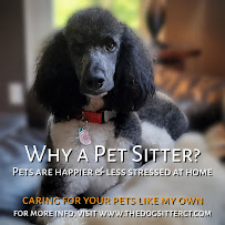 The Dog Sitter, LLC - Photo 5 - Car repair in Guilford, CT, New Haven