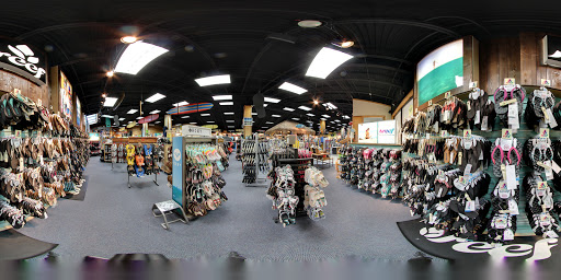Surf Shop «Aqua East Surf Shop», reviews and photos, 1850 A1A S, St Augustine, FL 32080, USA