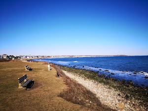 Rose Nulman Park - photo 55