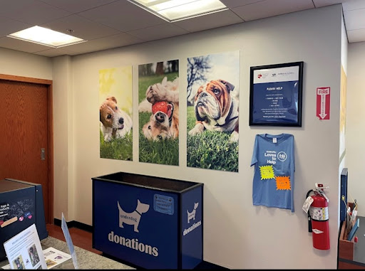 Subaru Dealer «Brilliance Subaru», reviews and photos, 1500 N Randall Rd, Elgin, IL 60123, USA