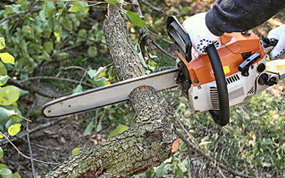 Mckinney Tree Service & Stump Grinding