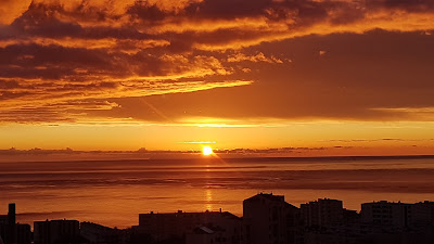 Polyexpert Corse (Bastia) à Bastia