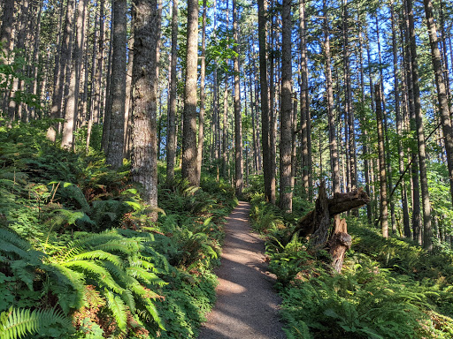 Ridgeline Trail – Fox Hollow Trailhead