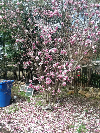 Country Club «Dothan Country Club», reviews and photos, 200 S Cherokee Ave, Dothan, AL 36301, USA