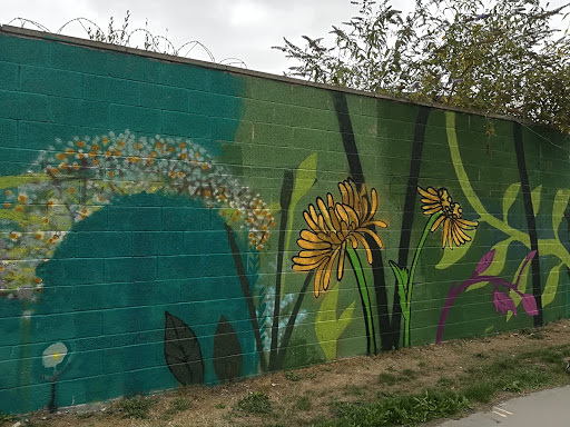 Blackburn Meadows Nature Reserve