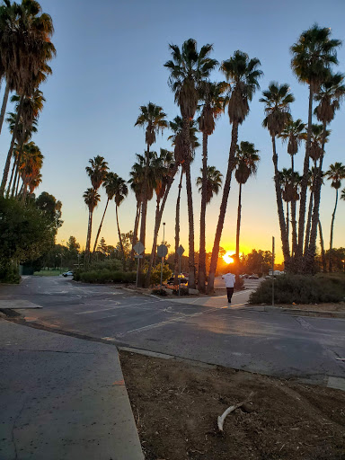 Golf Course «Balboa Golf Course», reviews and photos, 16821 Burbank Blvd, Encino, CA 91436, USA