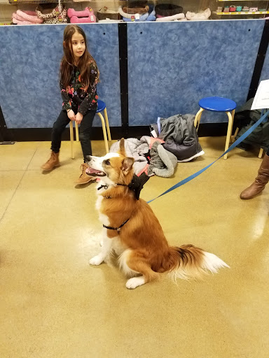 Pet Supply Store «PetSmart», reviews and photos, 2216 E Springs Dr, Madison, WI 53704, USA