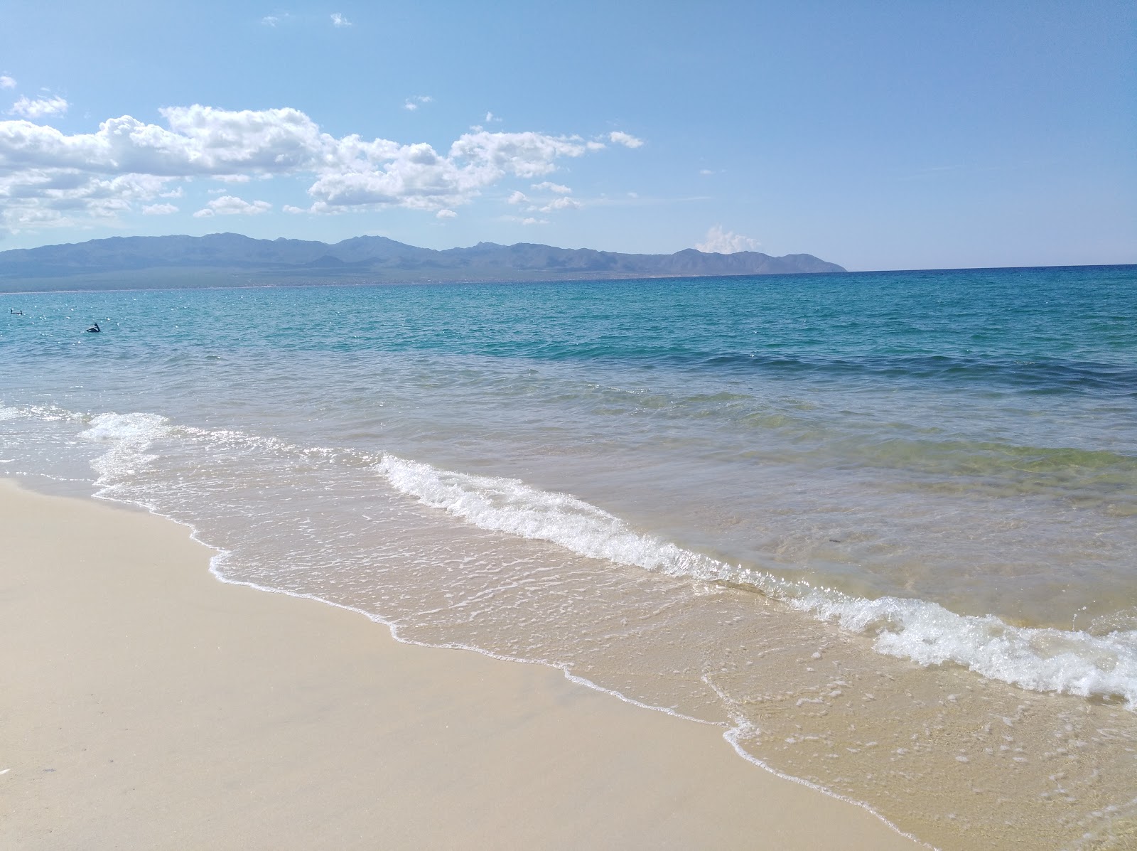 Playa Turquesa'in fotoğrafı - tatil için iyi evcil hayvan dostu nokta