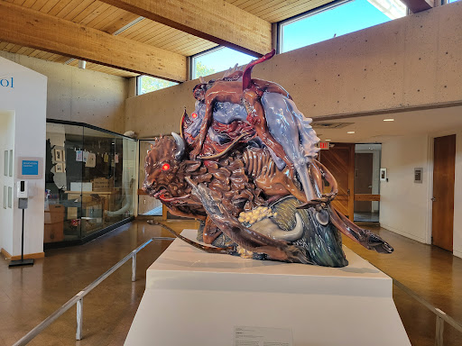Museum of zoology Albuquerque