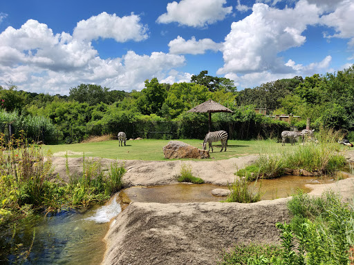 Zoo «Little Rock Zoo», reviews and photos, 1 Zoo Dr, Little Rock, AR 72205, USA