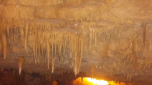 Cave «Bluegrass Underground», reviews and photos, 1437 Cumberland Caverns Rd, McMinnville, TN 37110, USA