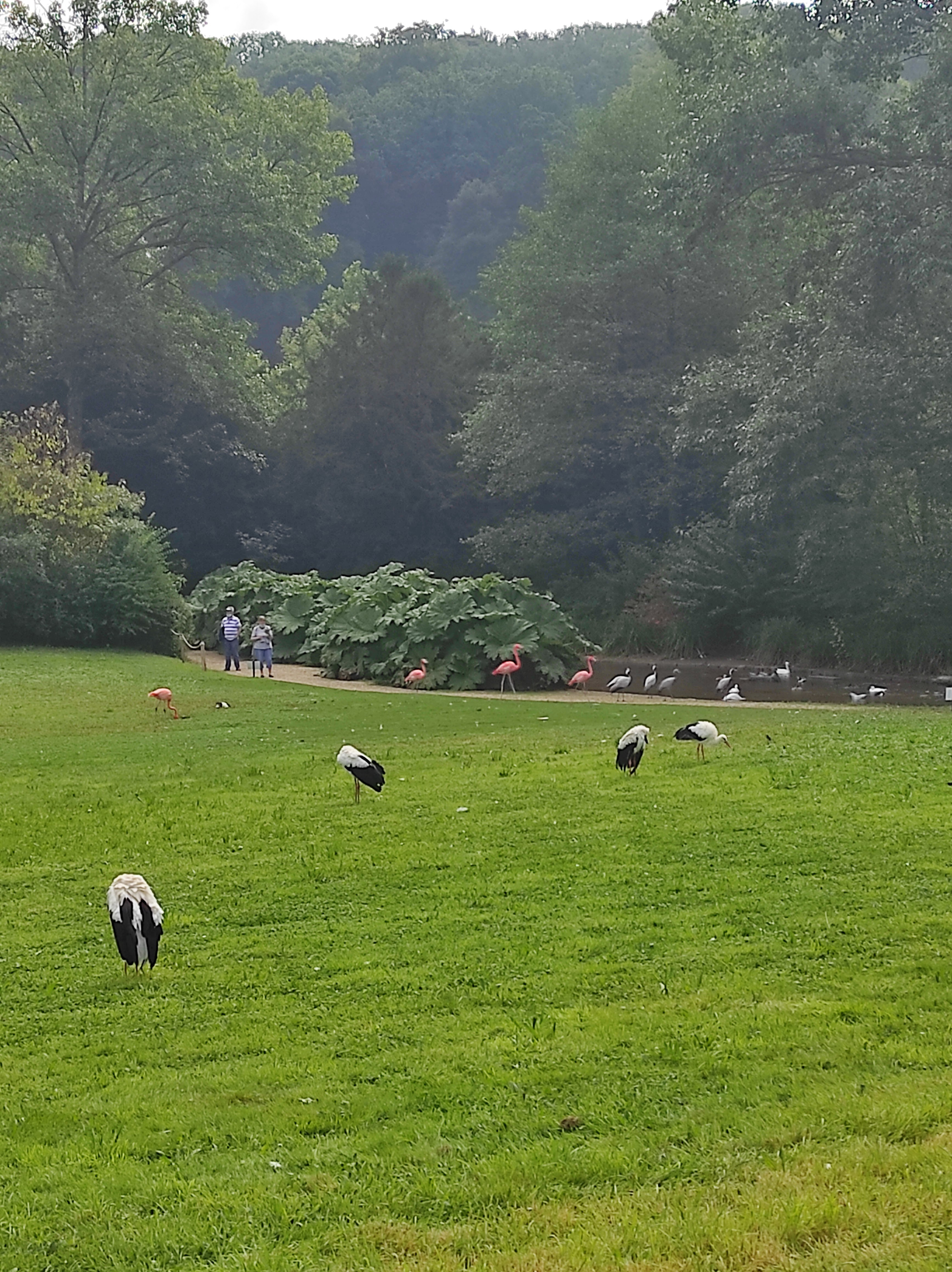 Photo n° 3 de l'avis de Agathe.o fait le 19/09/2021 à 11:11