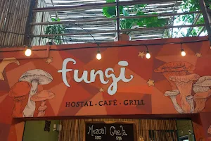 Fungi Tepoz Grill image