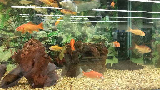 Pet Supply Store «Petco Animal Supplies», reviews and photos, 8551 S Howell Ave, Oak Creek, WI 53154, USA