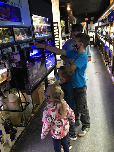 Pet Store «Laconia Pet Center», reviews and photos, 1343 Union Ave, Laconia, NH 03246, USA