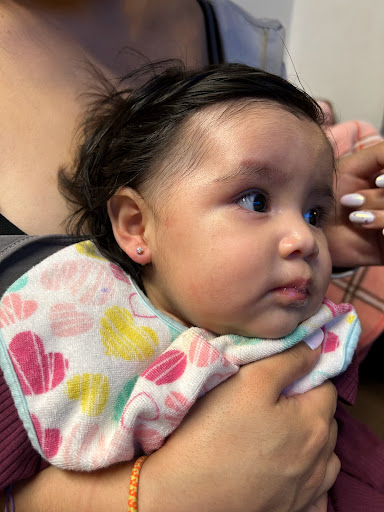 Explore tattoo ideas family tree, creative tattoo ideas in East Elmhurst, available at Monick perforaciones