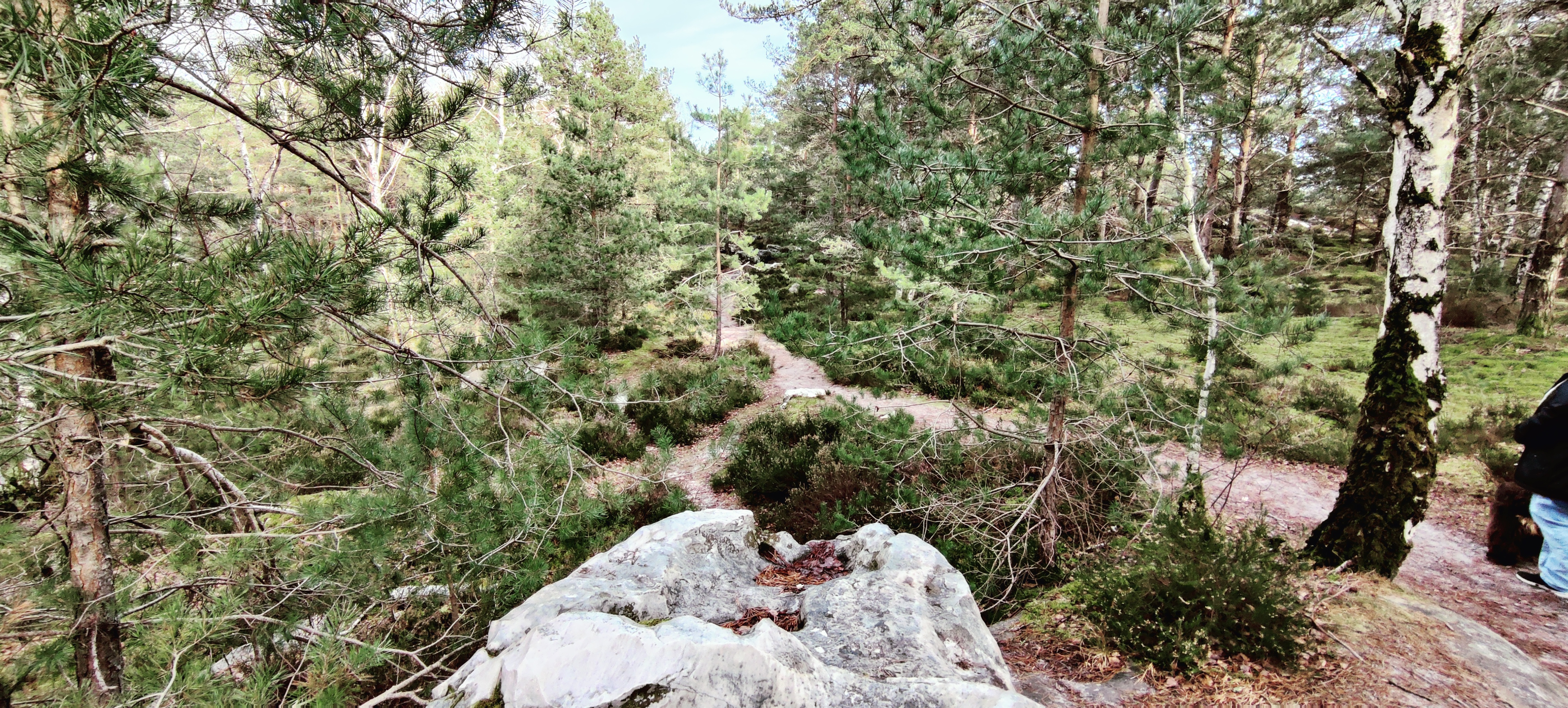Photo n° 11 de l'avis de Regis.a fait le 02/02/2024 à 09:32