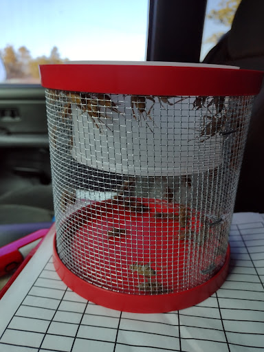 Hardware Store «Grassy Point Hardware», reviews and photos, 7235 FL-77, Panama City, FL 32409, USA