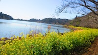 上池