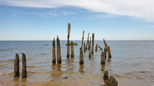 Tourist Attraction «Sands Point Preserve», reviews and photos, 127 Middle Neck Rd, Sands Point, NY 11050, USA