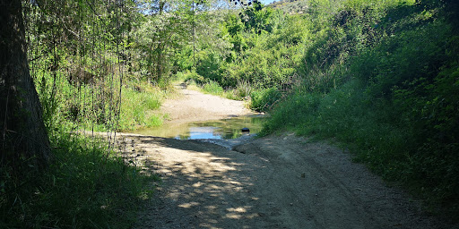 Dehesa del Generalife