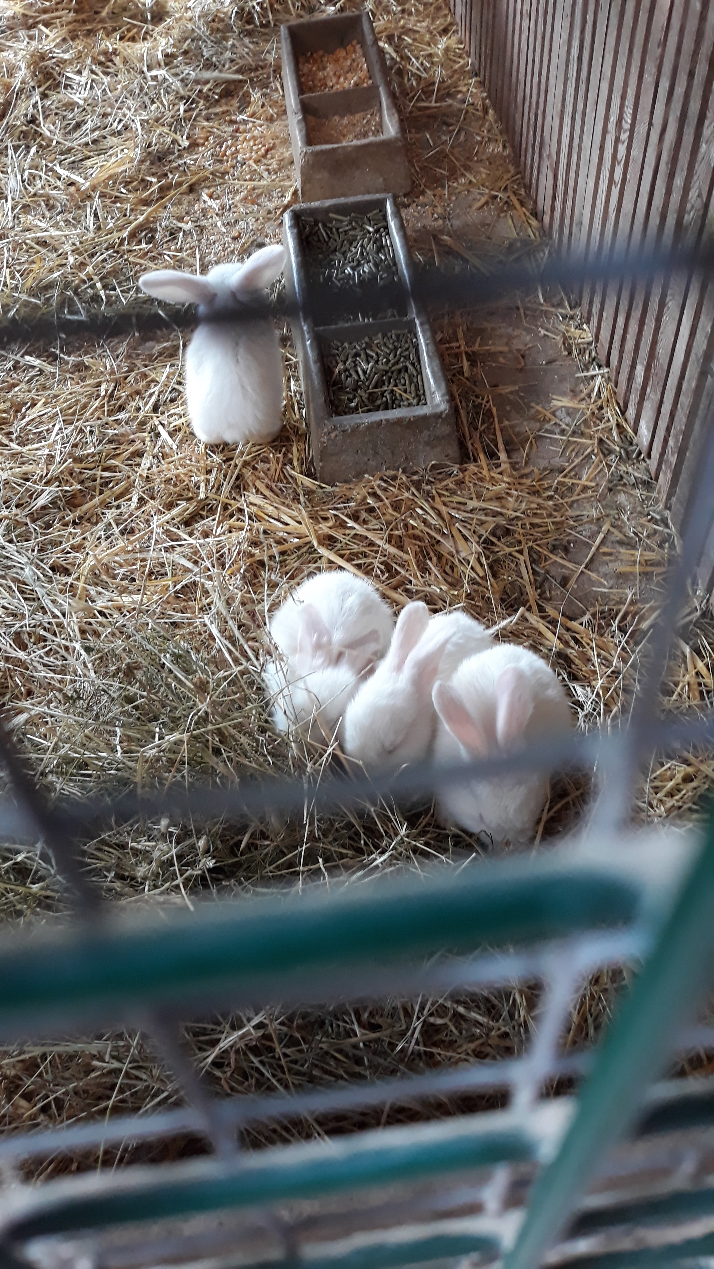 Photo n° 1 de l'avis de jérome.o fait le 16/07/2019 à 15:12