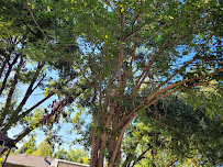 Dragonfly Lawn Care Services - Photo 2 - Car repair in , Tulsa