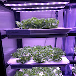 Photo n°1 de l'avis de Dr.a fait le 29/01/2020 à 17:19 sur le  Beba à Berlin