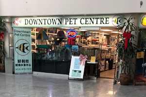 Downtown Pets & Aquarium image