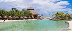 Delphinus Xcaret beach'in fotoğrafı çok temiz temizlik seviyesi ile