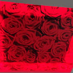 Photo n°5 de l'avis de Daniel.e fait le 04/07/2022 à 15:33 sur le  LISOTEL - hotel & spa à Leiria