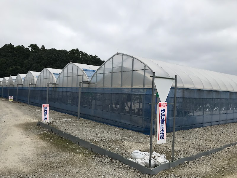 わーくはぴねす農園 柏ファーム 柏第2ファーム (千葉県柏市藤ケ谷新田 障害者向けサービス＆支援組織) グルコミ