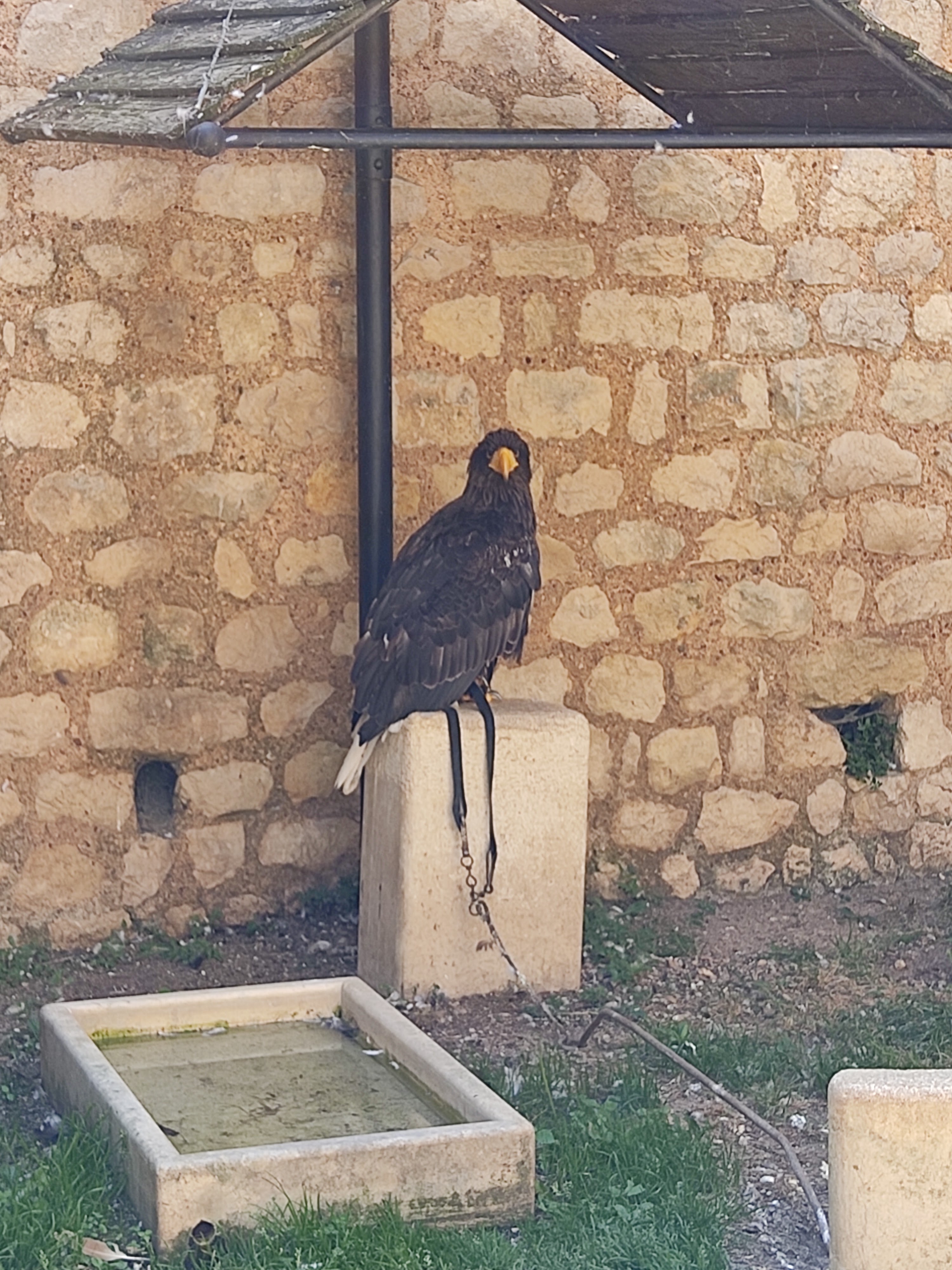 Photo n° 11 de l'avis de Zig.u fait le 25/08/2021 à 16:58