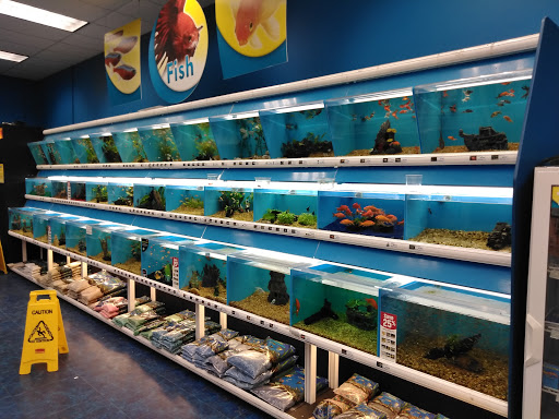 Pet Supply Store «Pet Supermarket», reviews and photos, 4690 W Irlo Bronson Memorial Hwy, Kissimmee, FL 34746, USA