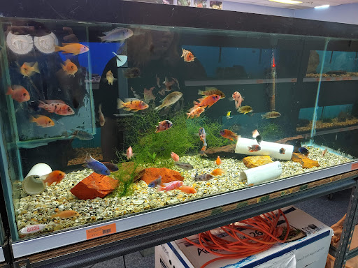 Tropical Fish Store «Richmond Aquarium», reviews and photos, 3645 Speeks Dr, Midlothian, VA 23112, USA