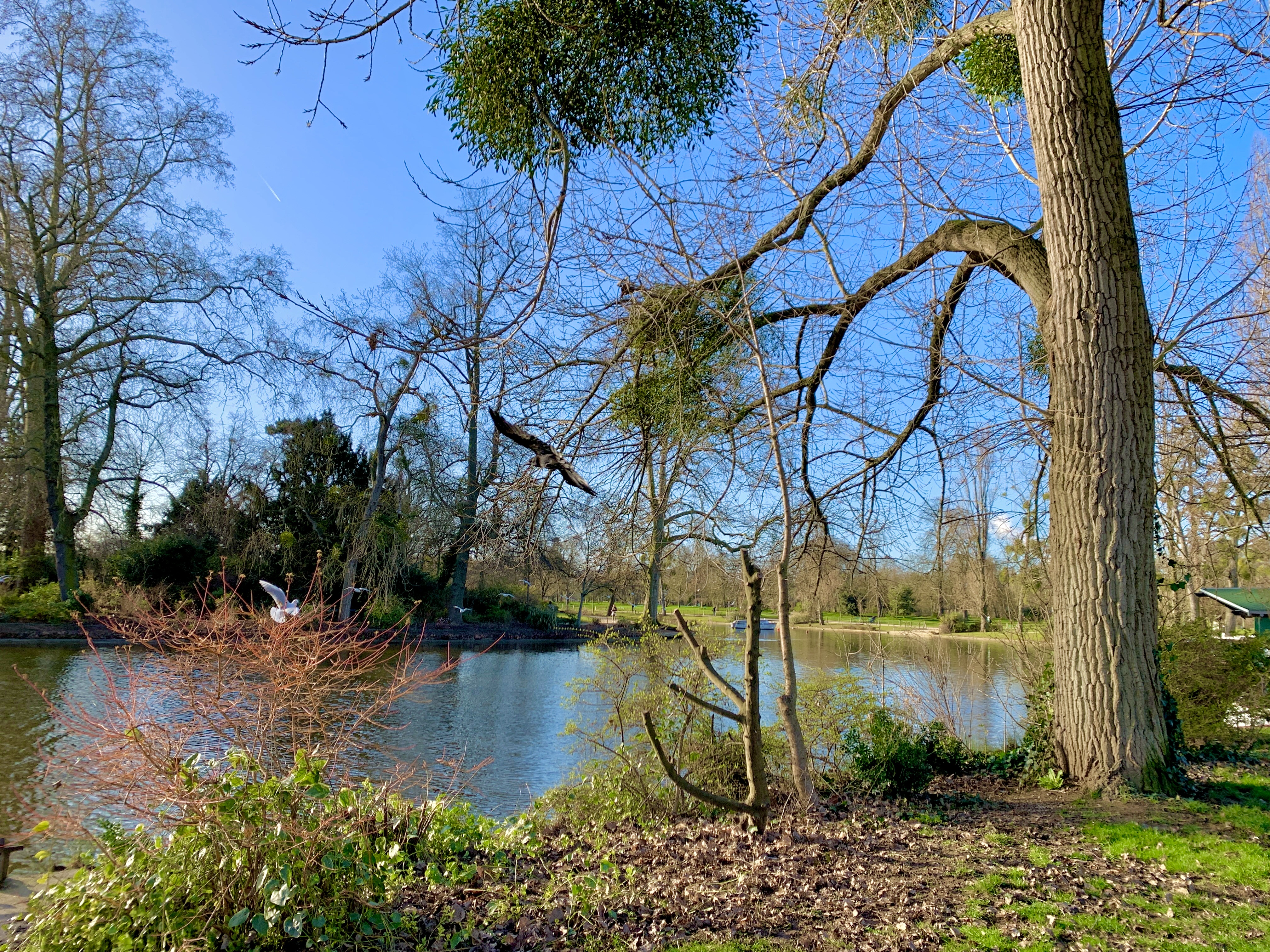 Photo n° 3 de l'avis de Agnès. fait le 10/02/2022 à 08:51