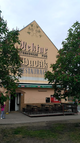 Recenze na Restaurace Otava v České Budějovice - Bar