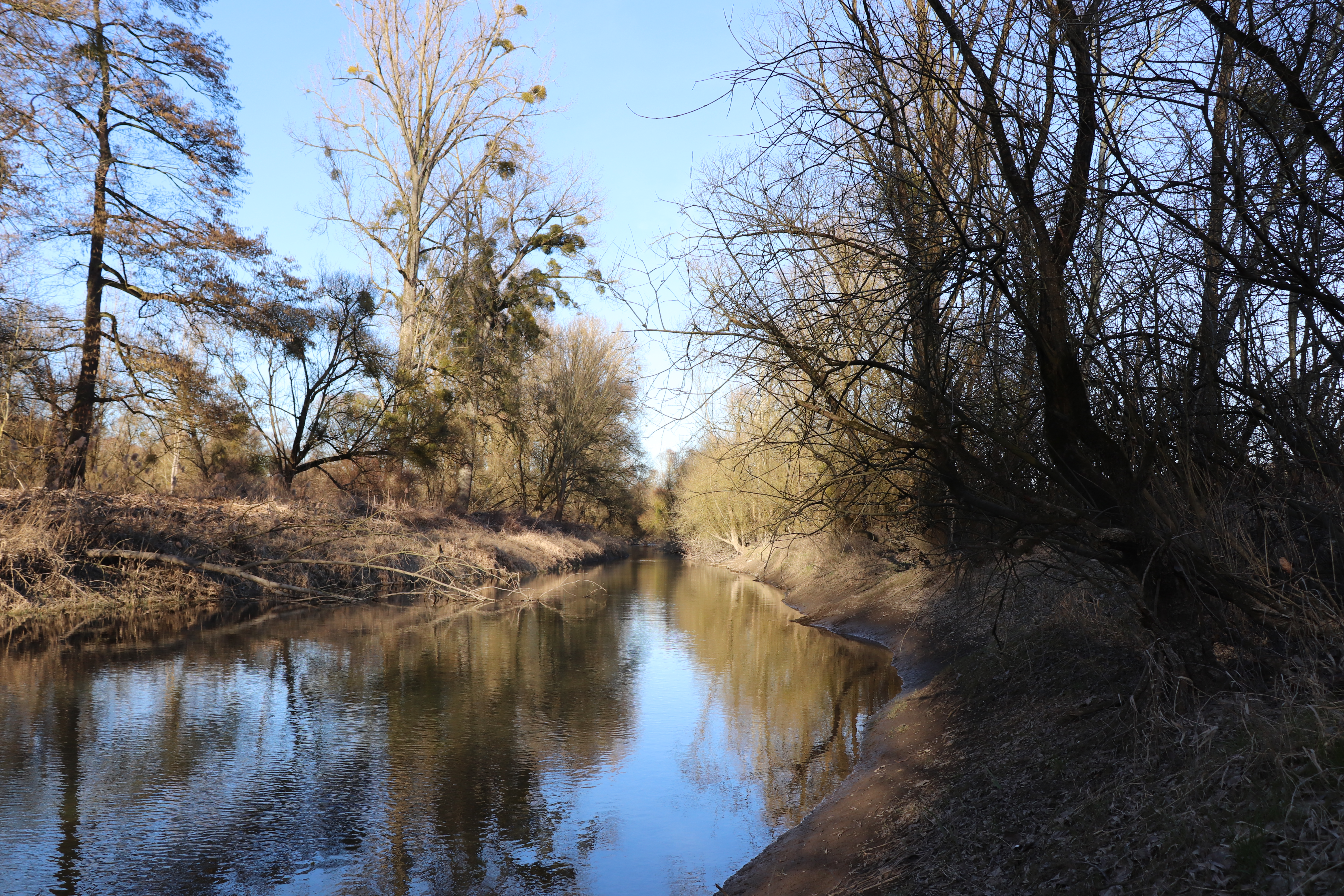 Photo n° 8 de l'avis de Thomas.c fait le 24/02/2019 à 19:03