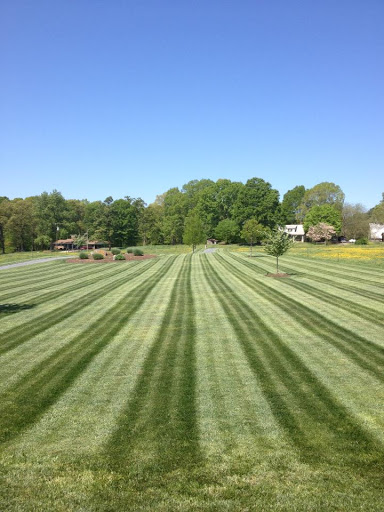 Lakeview Farms Landscaping & Maintenance, Inc.