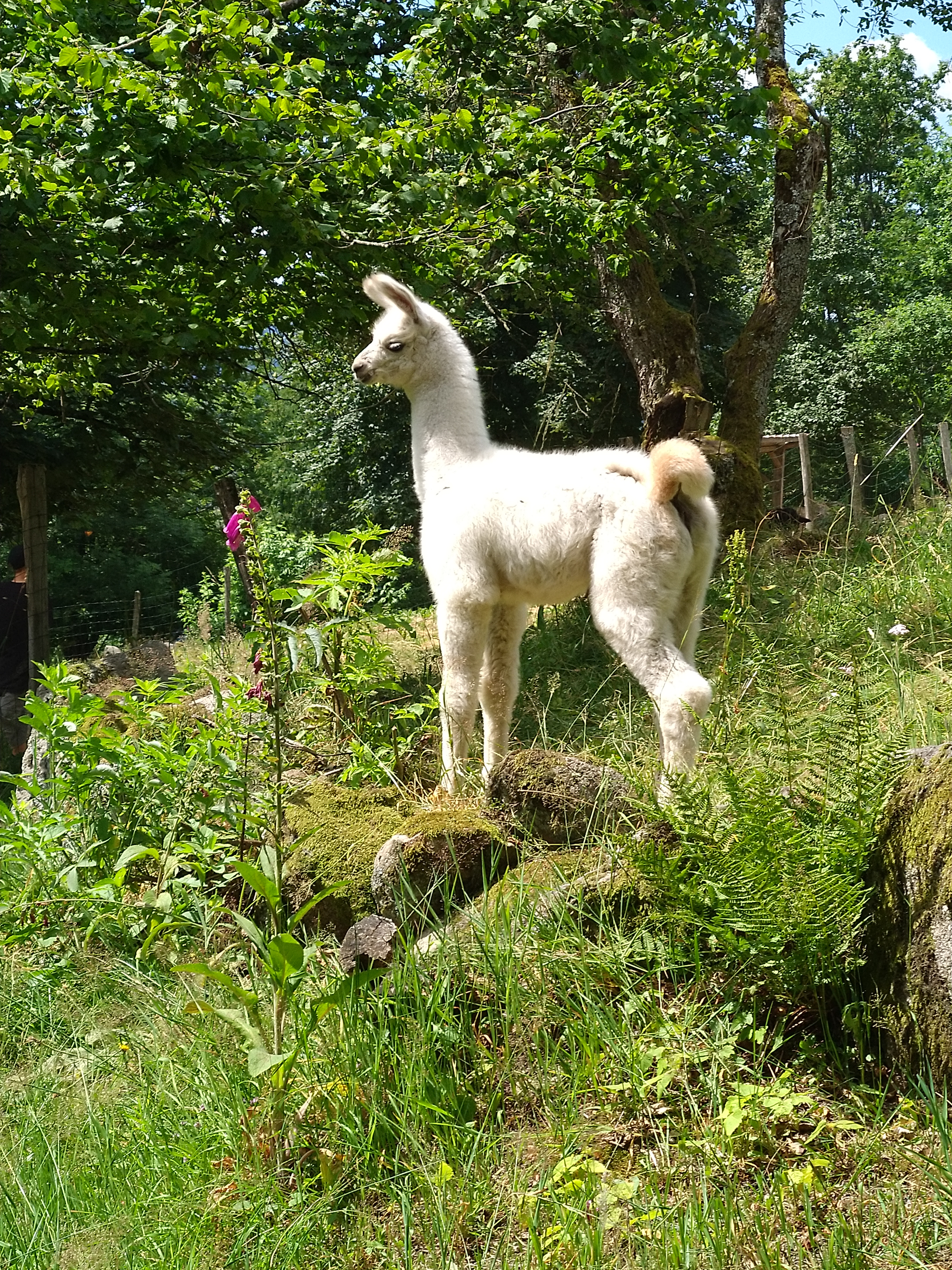 Photo n° 1 de l'avis de Booike.e fait le 11/07/2019 à 20:57