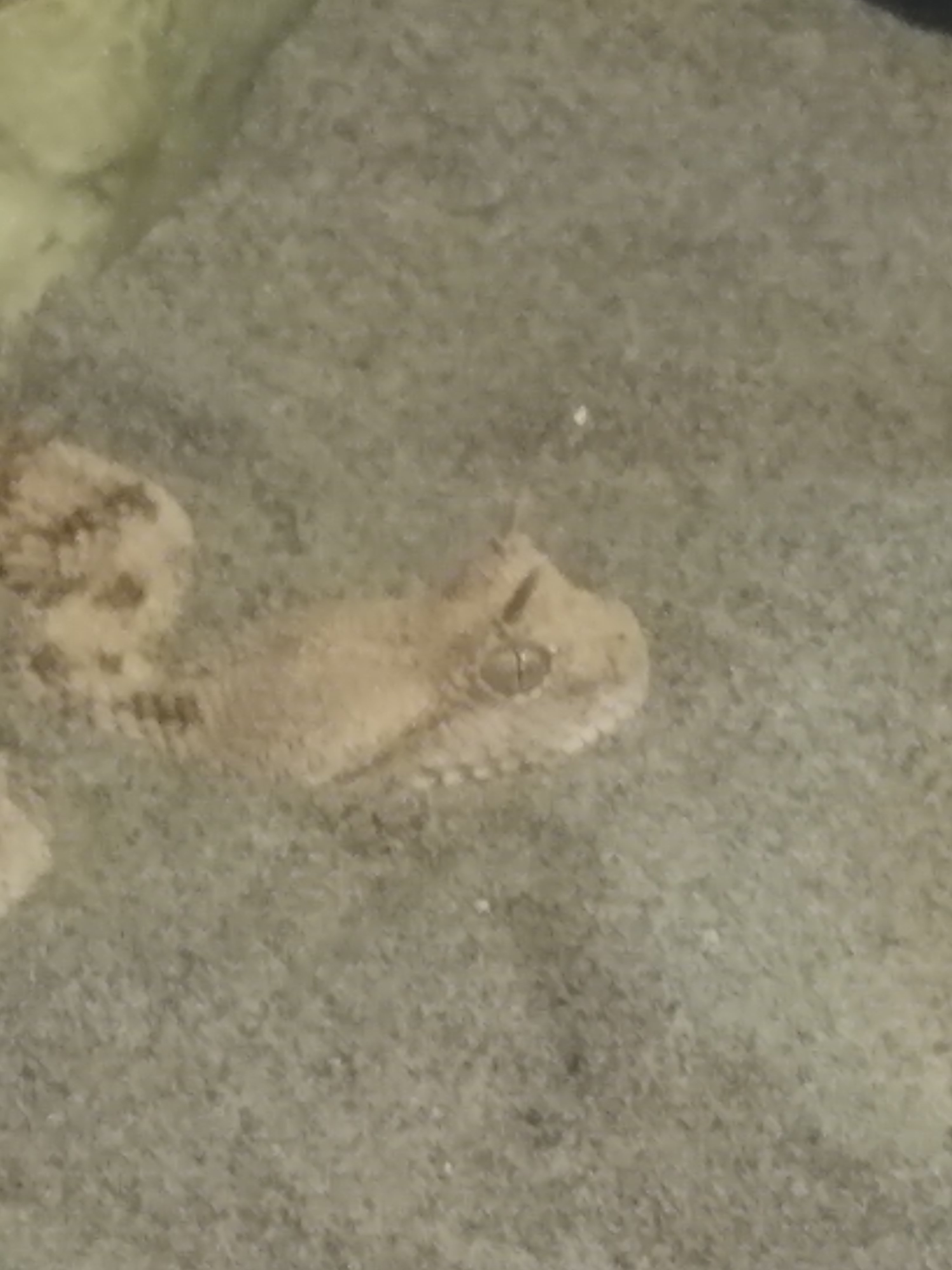 Photo n° 3 de l'avis de Sébastien.h fait le 31/07/2018 à 10:46