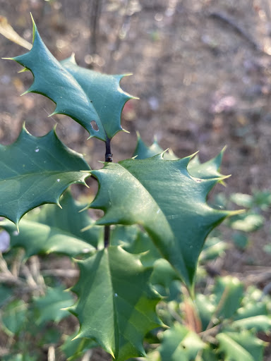 Nature Preserve «Black Run Preserve», reviews and photos, Kettle Run Rd, Evesham Township, NJ 08053, USA