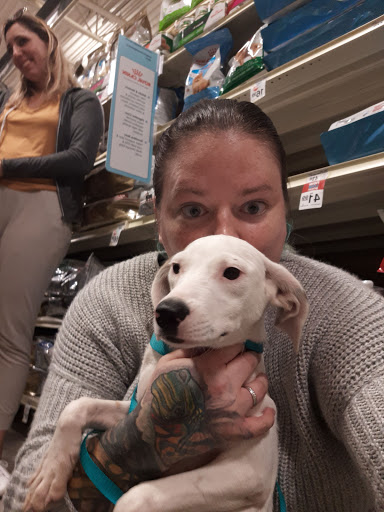 Pet Supply Store «PetSmart», reviews and photos, 1115 Vidina Pl, Oviedo, FL 32765, USA