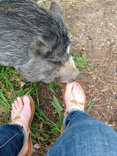 Winery «Hilmy Cellars - Vineyards, Winery & Tasting Room», reviews and photos, 12346 US-290, Fredericksburg, TX 78624, USA