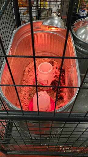 Home Improvement Store «Tractor Supply Co.», reviews and photos, 6881 Cameron Blvd, Gilroy, CA 95020, USA