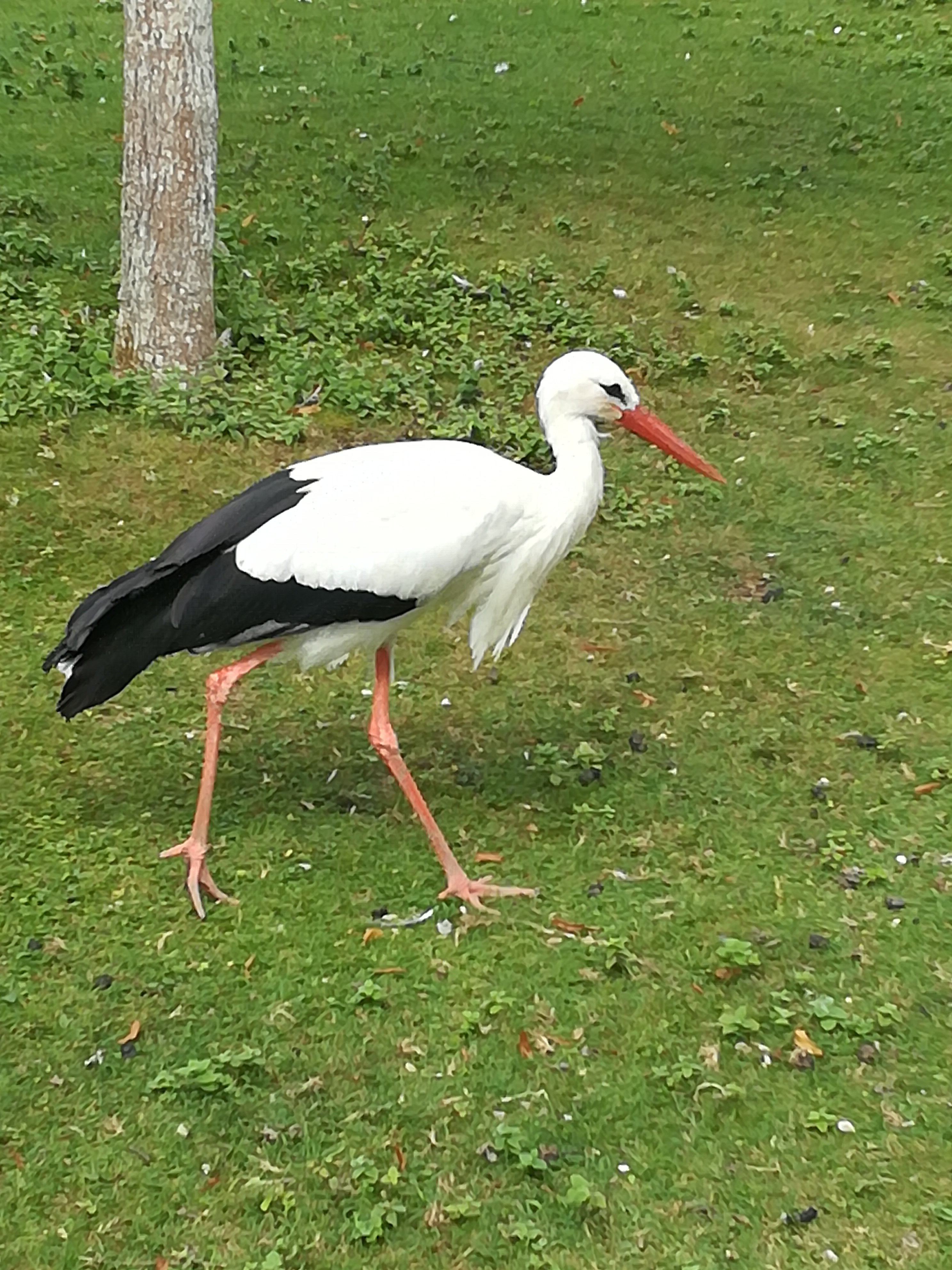 Photo n° 2 de l'avis de Christophe.A fait le 26/07/2020 à 19:03