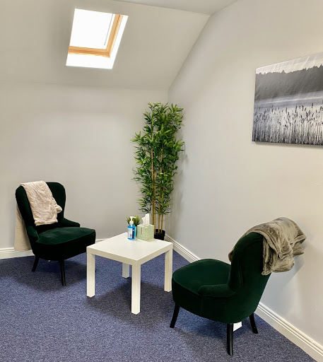 The Insight Centre in Blackrock, Co. Dublin (Baile Átha Cliath)