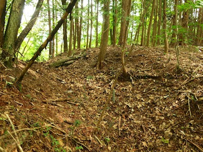 越野山物見跡